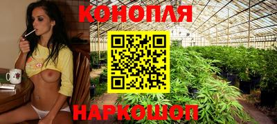 apvp Коммунар