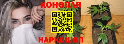 apvp Коммунар