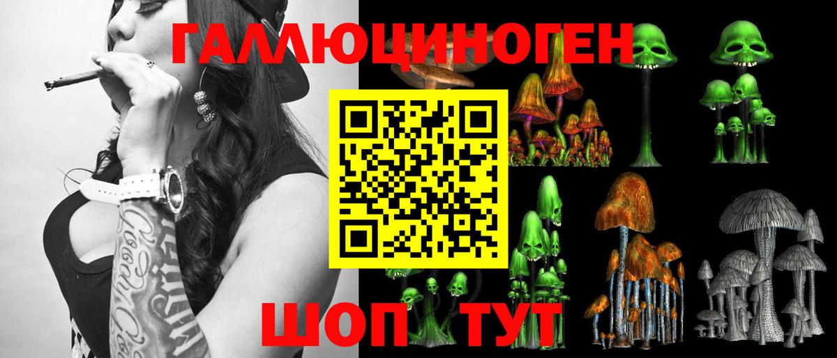 Галлюциногенные грибы Psilocybe Благовещенск