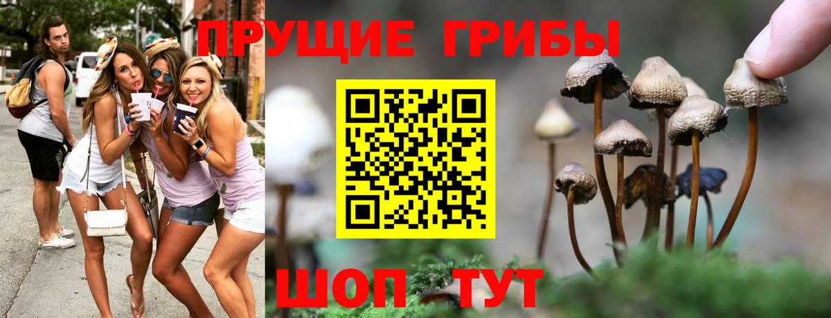 Благовещенск  Псилоцибиновые грибы мицелий  Вход с VPN  Псилоцибиновые грибы прущие грибы 
